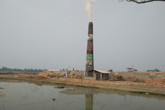 image-here